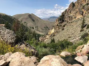 Goldbug Hot Springs