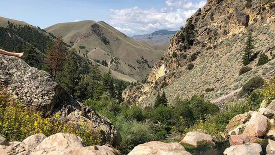 Goldbug Hot Springs