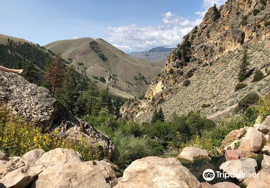 Goldbug Hot Springs