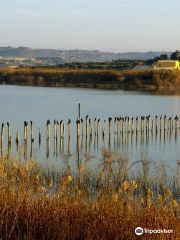 Riserva Naturale Biviere