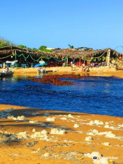 Parque Estadual de Itaunas