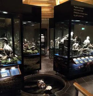 Sigurgeirs Bird Museum