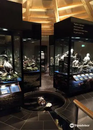 Sigurgeirs Bird Museum