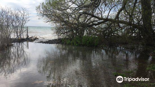 Point Petre Wildlife Conservation Area