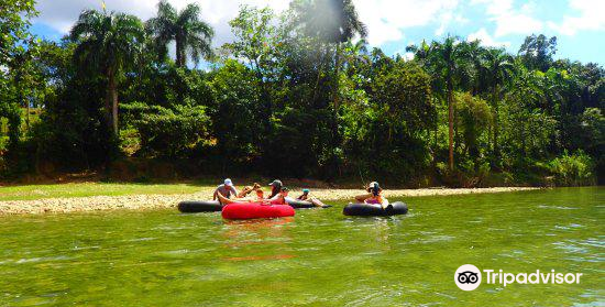 Taino Farm
