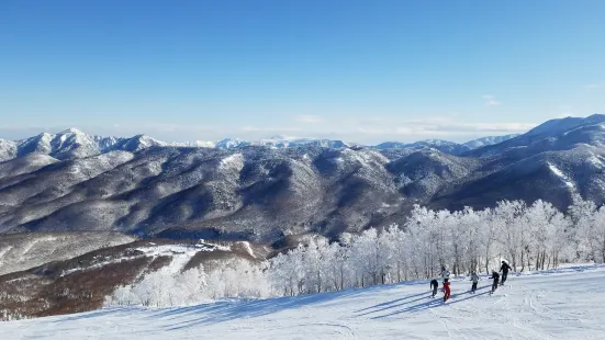 志賀高原