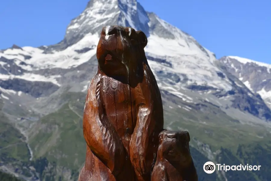 Marmot Trail