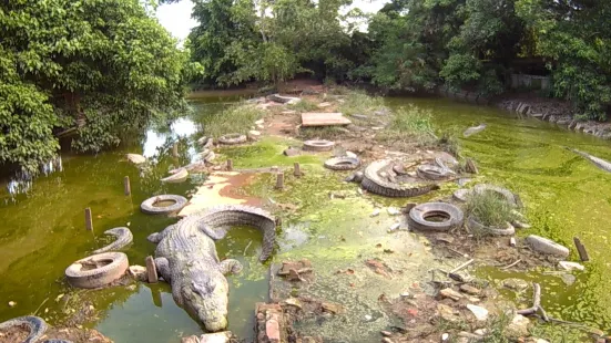 Teritip Crocodile Farm