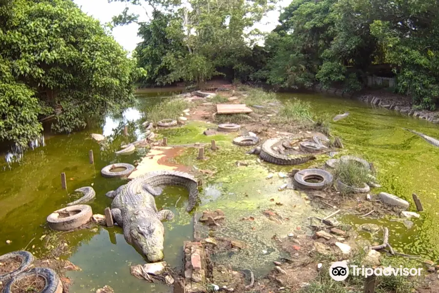 Teritip Crocodile Farm