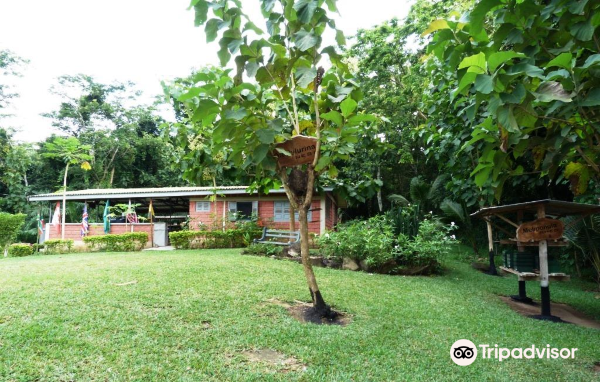 International Stingless Bee Centre