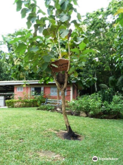 International Stingless Bee Centre