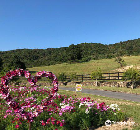 兵庫 淡路ファームパーク イングランドの丘 入場Eチケット 予約