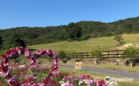 Awaji Farm Park England Hill