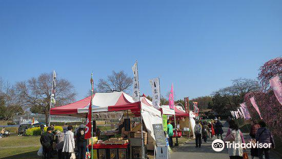 カフェ ダウニー 神の倉店 愛知県のご案内 トリップドットコム