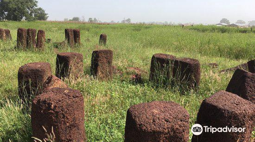 Stone Circles of Senegambia