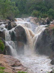 Lowveld National Botanical Garden