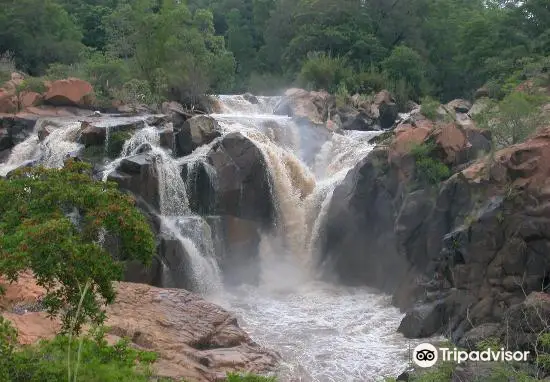 Lowveld National Botanical Garden