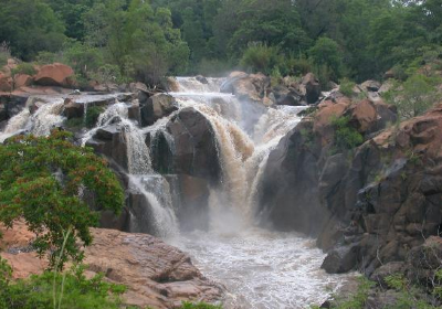 Lowveld National Botanical Garden