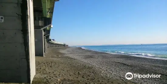 國府津海岸