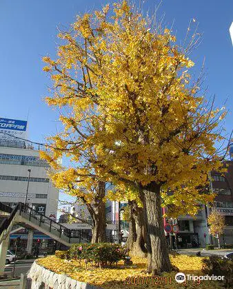 絶対に行くべき水戸の観光スポット トリップドットコム