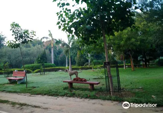 Tau Devi Lal Park