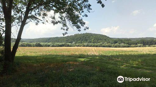 Pogorze Przemyskie Landscape Park