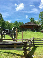 Camp Wildcat Battlefield