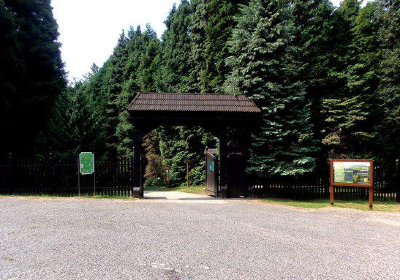 Agostyan Arboretum