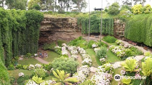 洞穴花園