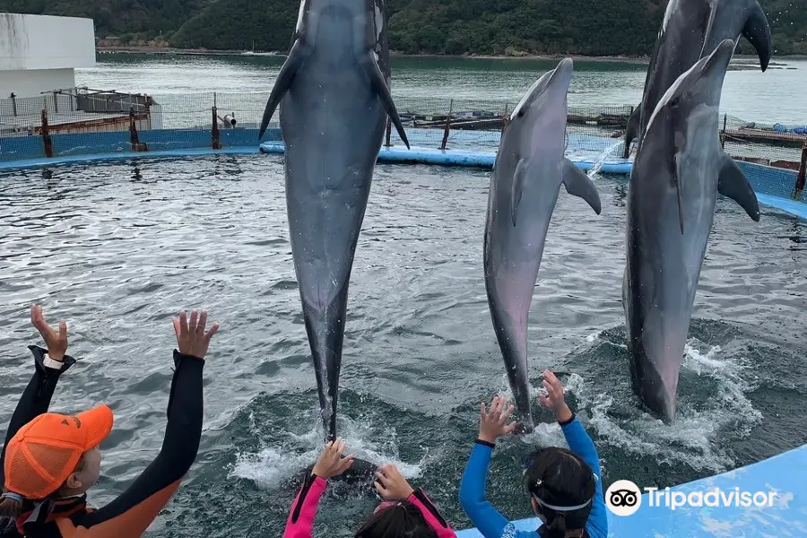 Dolphin Resort Iruka Fureai