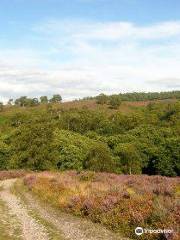 Cannock Chase District