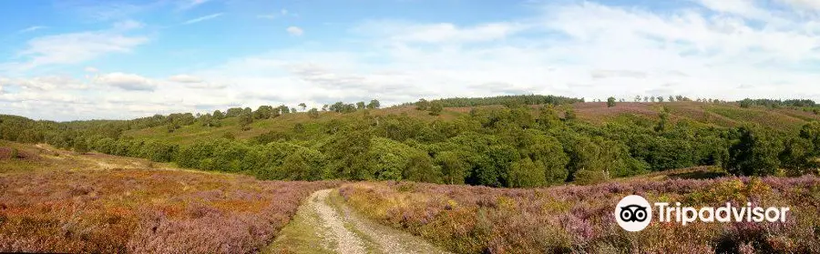 Cannock Chase District