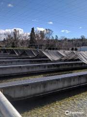 Coleman National Fish Hatchery