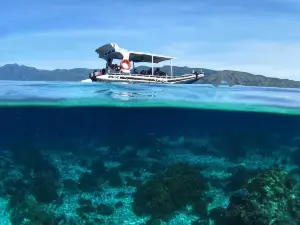 阿洛島