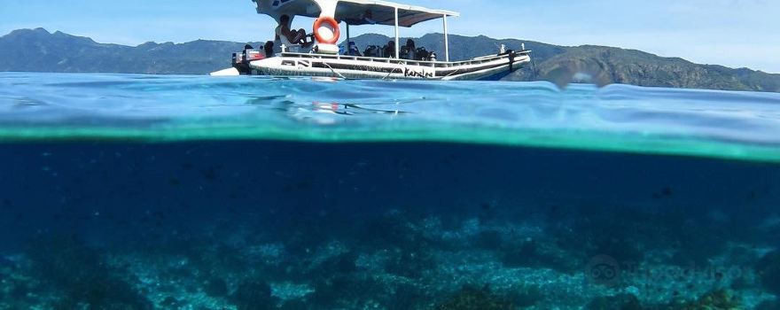Alor Island