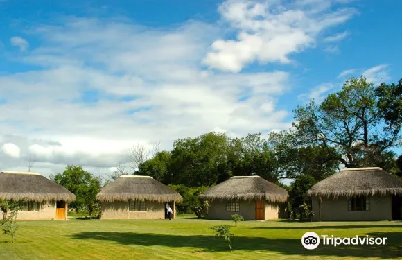 克里斯林非洲山林小屋