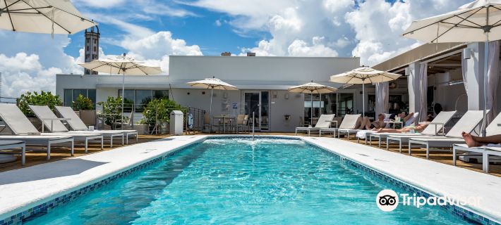 The Tony Hotel South Beach Hotels in Miami Beach