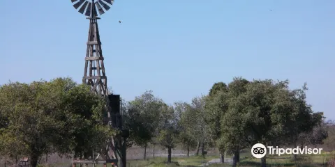 Dow Wetlands Wildlife Habitat Preserve