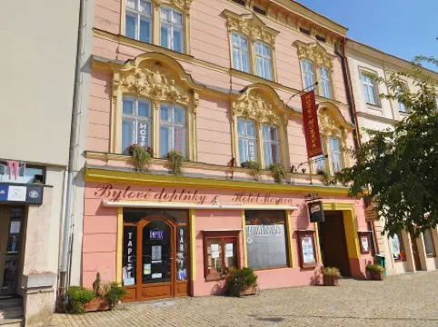 Hotel Morava Отели в г. Зноймо