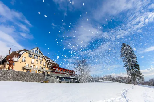 Bodensee-Hotel Sonnenhof - Beach
