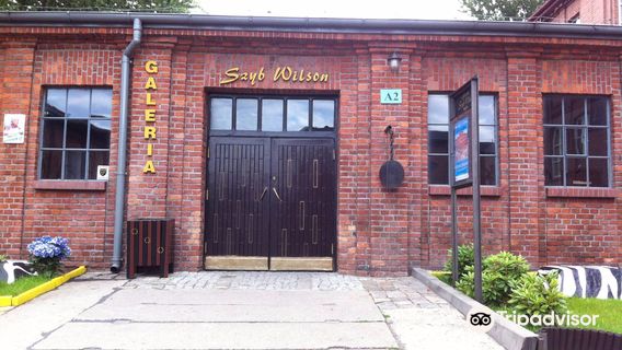 Wilson Shaft Gallery