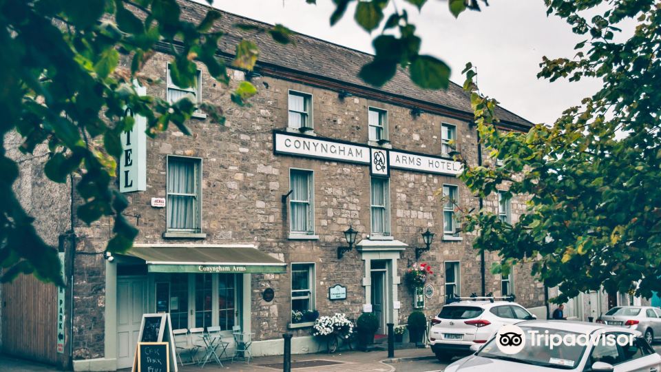 Conyngham Arms Hotel Slane