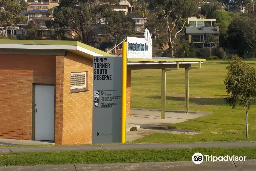 Henry Turner South Reserve