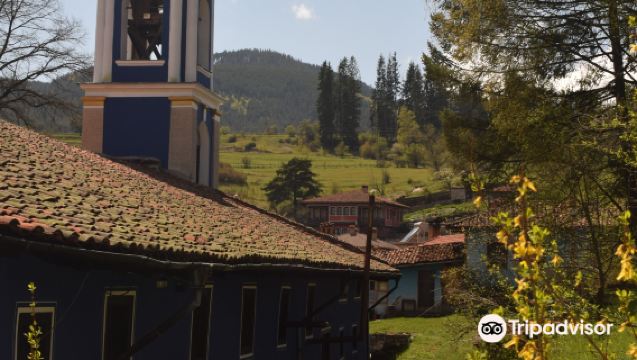 Alle Arten von Dolmetschern, Reiseführern, Mietwagen, Fotografen, Business-Escorts, medizinischen Begleitern, Reiseführern und individuellen Dienstleistungen in ganz Bulgarien