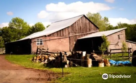 Apple Pond Farm & Renewable Energy Education Center