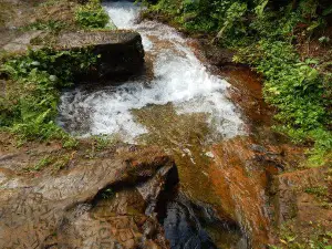 Serra do Divisor National Park