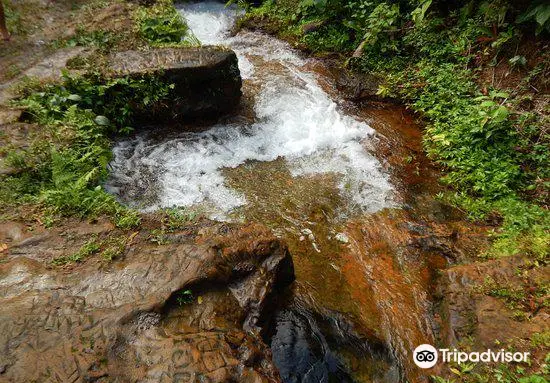 Serra do Divisor National Park