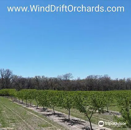 Wind Drift Orchards