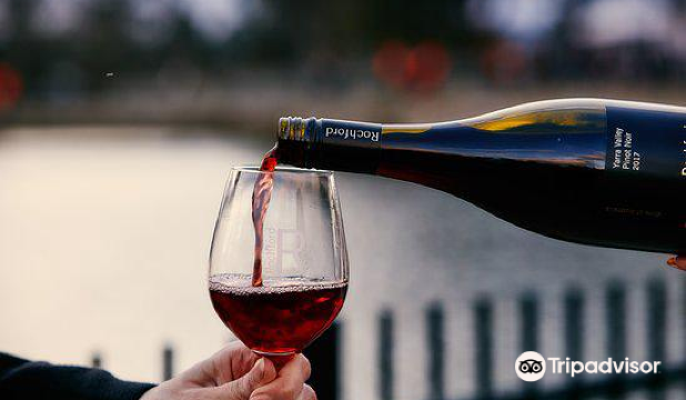 Alcohol & Drinking Culture Experiences in Melbourne