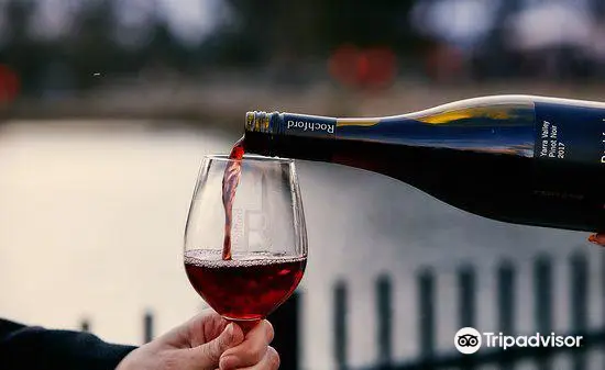 Liquor Culture Experiences in Melbourne